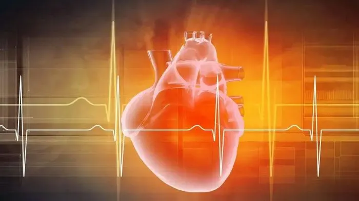 Effect on the cardiovascular system Effect on the cardiovascular system
